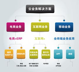 大數(shù)據(jù) 驅(qū)動(dòng)未來(lái)的核心服務(wù)與價(jià)值革命