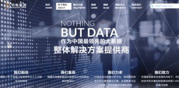 明略數(shù)據(jù) 邁向中國(guó)大數(shù)據(jù)分析應(yīng)用解決方案獨(dú)角獸的征途
